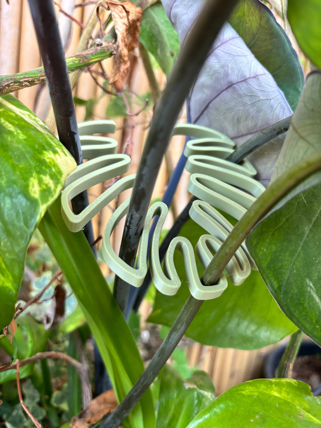 Monstera Stem Support | 3D Printed Houseplant Trellis | Plant Holder