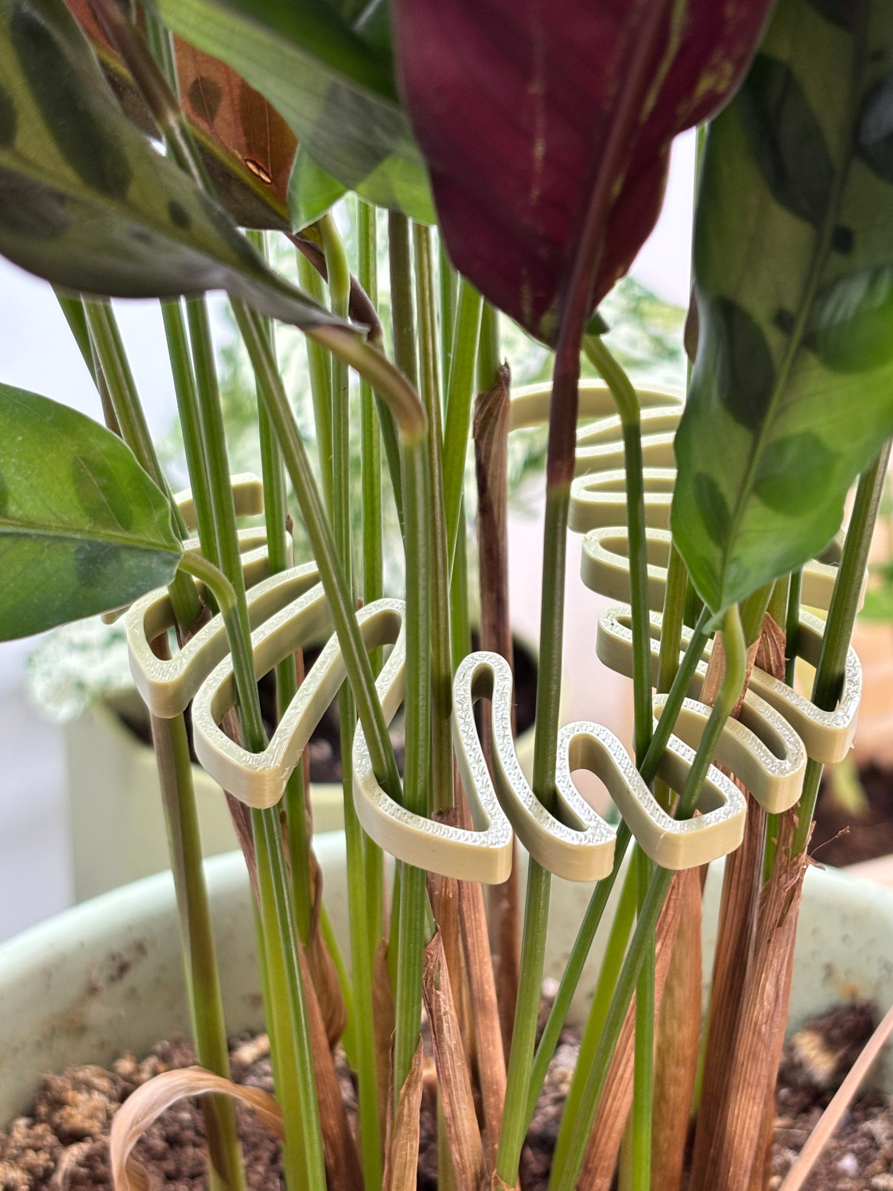 Monstera Stem Support | 3D Printed Houseplant Trellis | Plant Holder