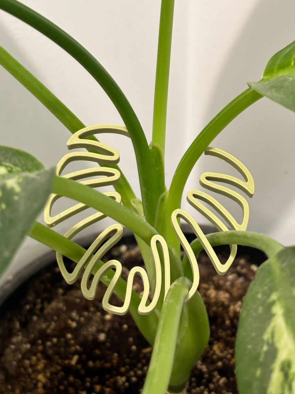Monstera Stem Support | 3D Printed Houseplant Trellis | Plant Holder