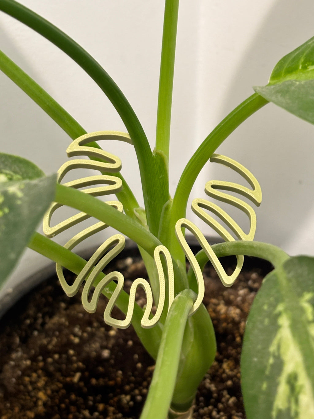 Monstera Stem Support | 3D Printed Houseplant Trellis | Plant Holder
